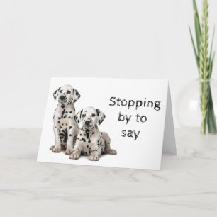 DOG GROOMER, VETERINARIAN EN DOG WALKER KAART