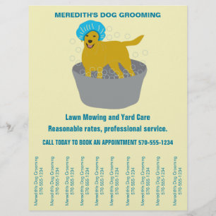 Dog Groomers Business Dog Groomers Scheuren uit St Flyer