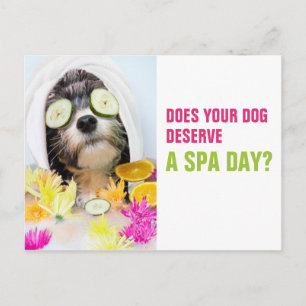 Dog Grooming Briefkaart-Spa Briefkaart