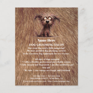 Dog grooming business personalized flyer