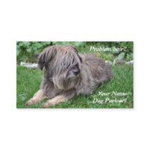 Dog grooming hiry sheepdog