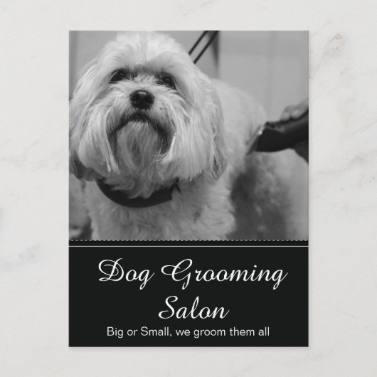Dog Grooming Post Kaart -  (Voorkant)