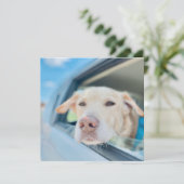 Dog Hanging Out Car Window Sunny Day Flat Card (Staand voorkant)
