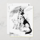 Dog Heaven, de Master's Flock Briefkaart (Voorkant / Achterkant)