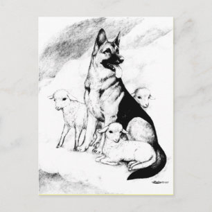 Dog Heaven, de Master's Flock Briefkaart