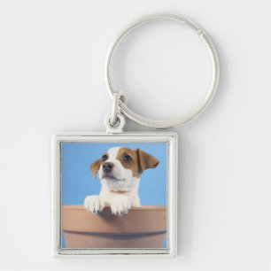 Dog in de bloempot sleutelhanger