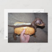 Dog in een Bun Briefkaart (Voorkant / Achterkant)