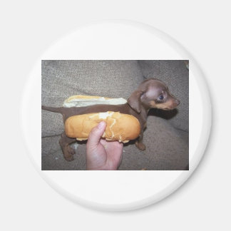 Dog in een Bun Magneet