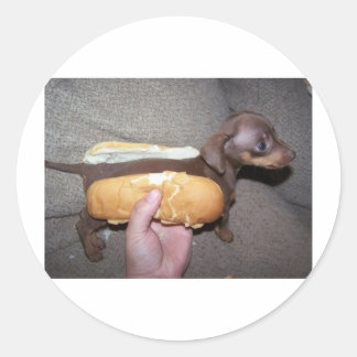 Dog in een Bun Ronde Sticker