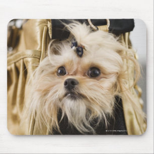 Dog in een handtas muismat
