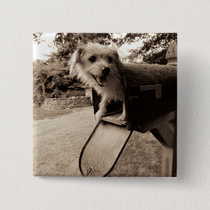 Dog In een postvak Vierkante Button 5,1 Cm