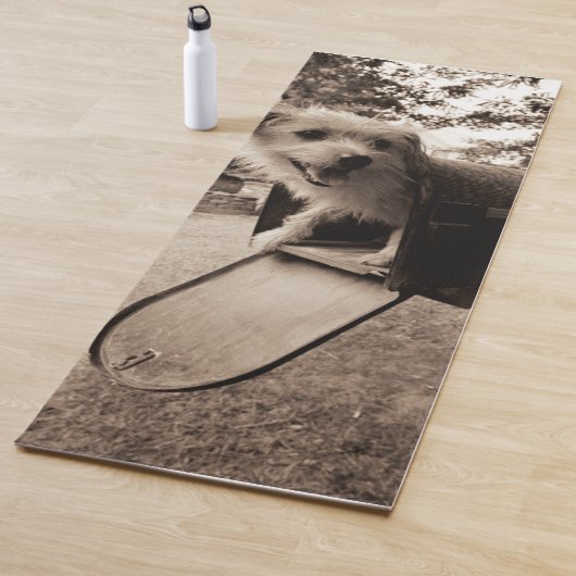 Dog In een postvak Yogamat (In situ)