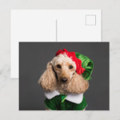 Dog in Elf Costume Briefkaart (Voorkant / Achterkant)