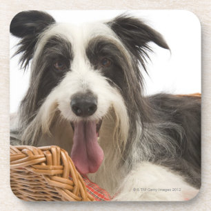 Dog in mandje 2 onderzetter