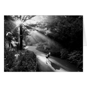 Dog in ochtendzonlicht