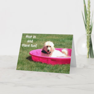 DOG IN POOL ZEGT JUMP IN EN GENIET UW BIRTHDAY KAART