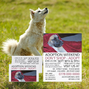Dog in Red Blanket, Pet Adoption Event Advertising Visitekaartje