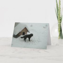 Dog in sneeuw door Doghouse Feestdagen Kaart
