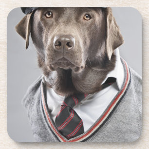 Dog in sweater en pet bier onderzetter