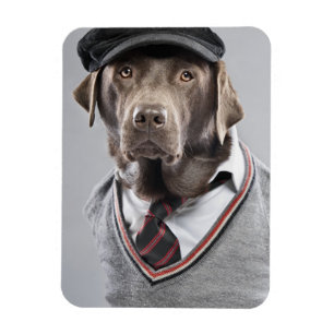Dog in sweater en pet magneet