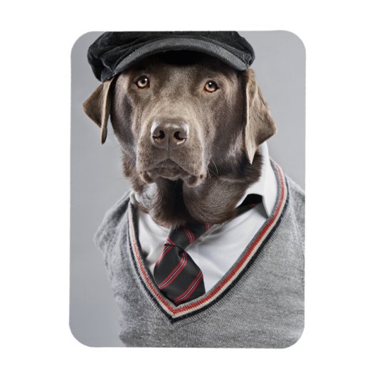 Dog in sweater en pet magneet (Verticaal)