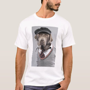 Dog in sweater en pet t-shirt