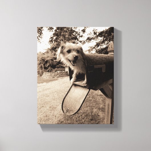 Dog Inside a Mailbox Canvas Afdruk (Voorkant)
