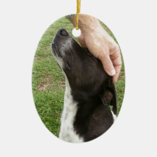 Dog is een beste vriend van het man! keramisch ornament