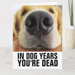 DOG JAREN JE DOG BIRTHDAY-Wenskaart Kaart