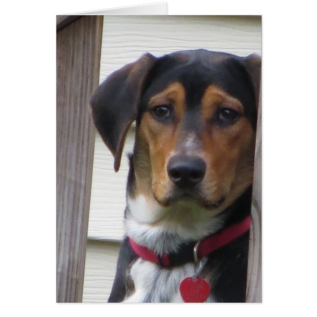 Dog-kaart (Voorkant)