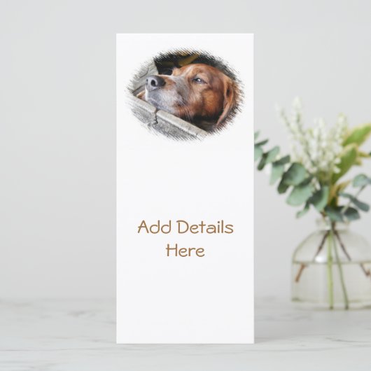 DOG-KAARTEN (Staand voorkant)