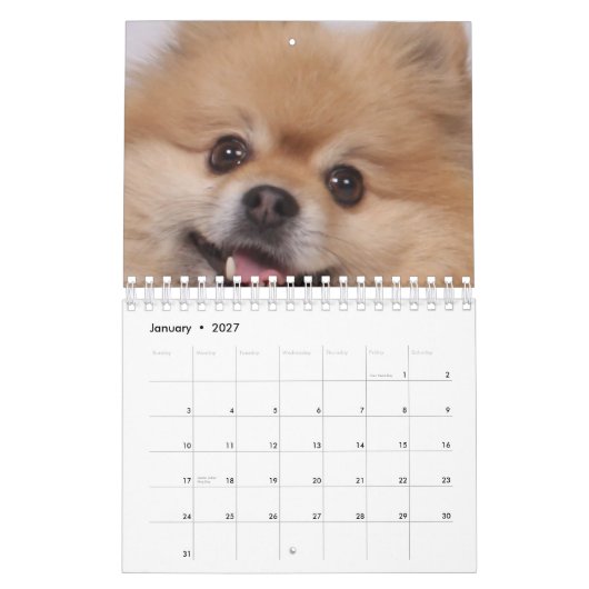 Dog Kalender (Jan 2027)