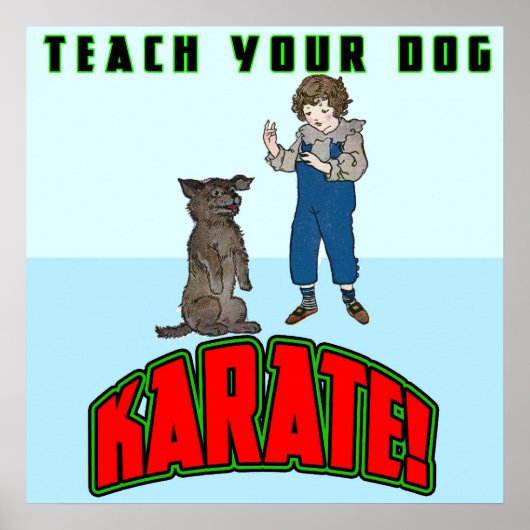 Dog Karate 2 Poster (Voorkant)