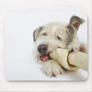 Dog Kauwt op Rawhide Bone Muismat