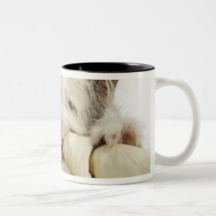 Dog Kauwt op Rawhide Bone Tweekleurige Koffiemok