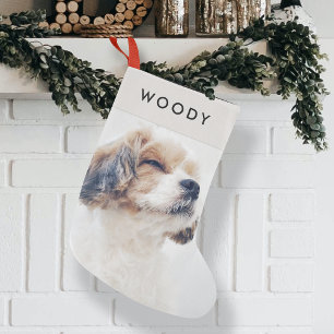 Dog-kerstfoto Moderne naam minimumpakket Kleine Kerstsok