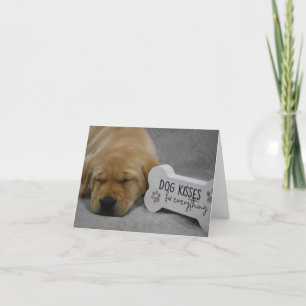 Dog Kisses Fix Alles Labrador Puppy Bedankkaart