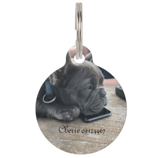 Dog label huisdierpenning