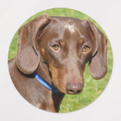 Dog Labels (Design 1)