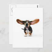 Dog lange oren briefkaart (Voorkant / Achterkant)