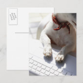 Dog legt zijn handen op een laptop briefkaart (Voorkant / Achterkant)