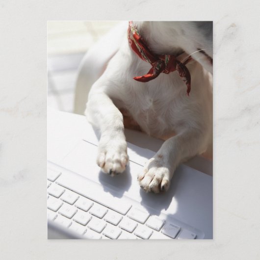 Dog legt zijn handen op een laptop briefkaart (Voorkant)