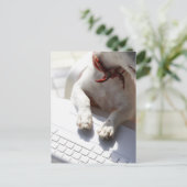 Dog legt zijn handen op een laptop briefkaart (Staand voorkant)