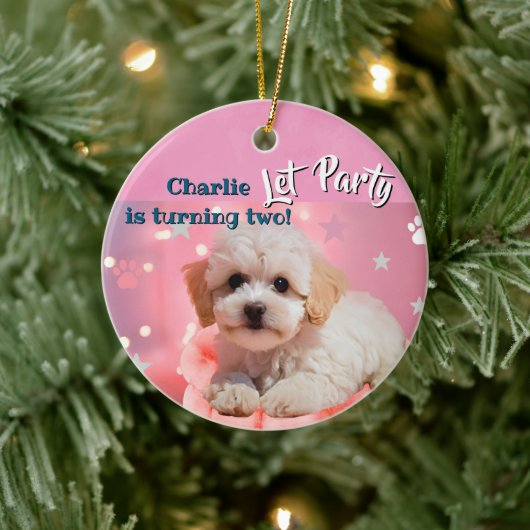 Dog Let's Party Birthday  Keramisch Ornament (Boom)