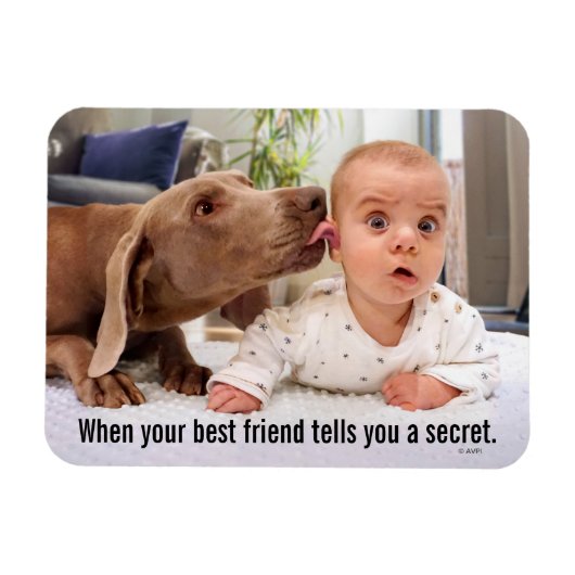 Dog Licking Baby's Ear Magneet (Horizontaal)