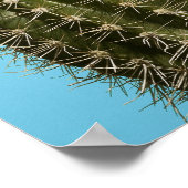 Dog licking cactus, close-up poster (Hoek)