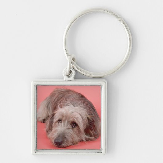 Dog liggen sleutelhanger (Voorkant)