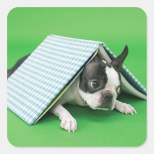 Dog ligt onder het boek vierkante sticker