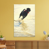 Dog loopt in water canvas afdruk (Insitu (Woonkamer))