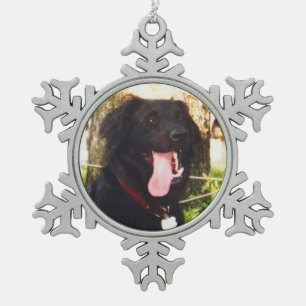 Dog Luke Tin Sneeuwvlok Ornament